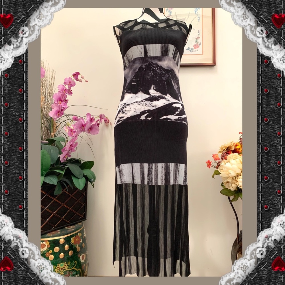 Art Print Full Pleated Bodycon Dress